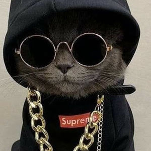 Meet your Posher, Definitelynotswagger